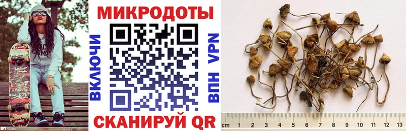 Галлюциногенные грибы Psilocybine cubensis  ОМГ ОМГ ссылка  нарко площадка официальный сайт  Новотроицк 