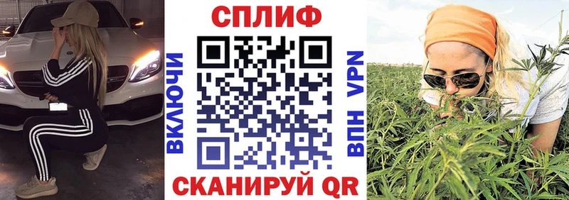 Марихуана сатива  mega ссылки  Новотроицк  закладки 